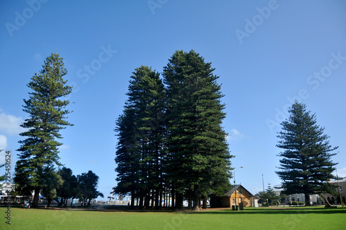 Esplanade park on Marine Terrace Street at Fremantle port city in Perth, Australia photo