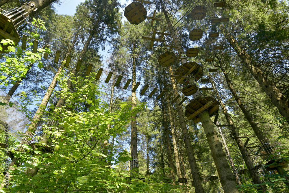 High wire adventure in Grizedale Forest, Lake District