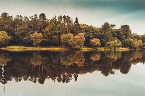 Woodland trees reflected on a lake