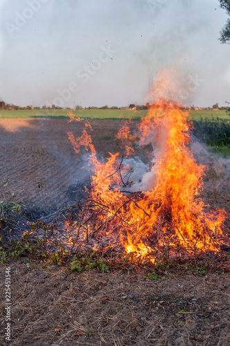 Farmer burns green wastes in bonfire, agriculture and bonfire concept © Jurga Jot