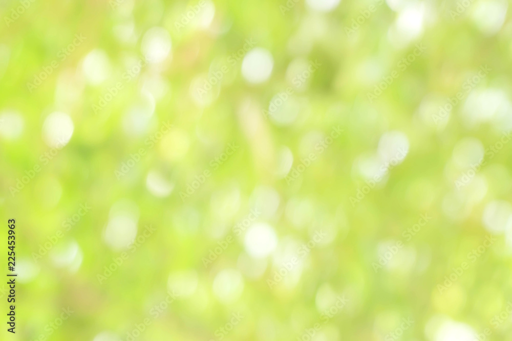 Blurred park with bokeh background / Blurred nature background / green and white background from tree in sun light. Blurred park with bokeh background / Blurred nature background / green and white background from tree in sun light.