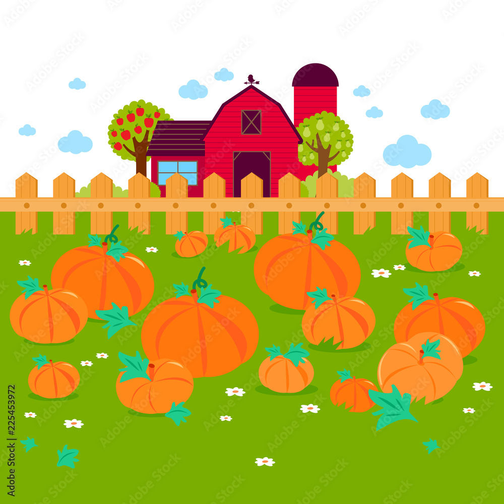 Pumpkin patch and a farmhouse. Vector illustration