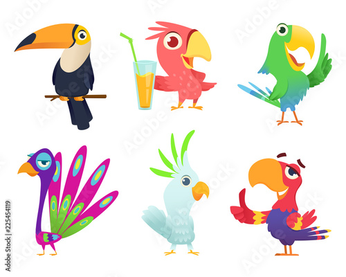 Tropical parrots characters. Feathered exotic macaw birds pets colored wings funny exotic flying arara action poses vector pictures. Animal bird character various colored illustration