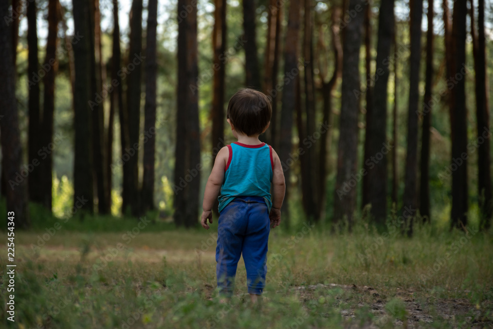 Little boy on a lawn in front of a large pine forest. The child herself, the clothes are dirty, the look from the back Little boy on a lawn in front of a large pine forest. The child herself, the clothes are dirty, the look from the back