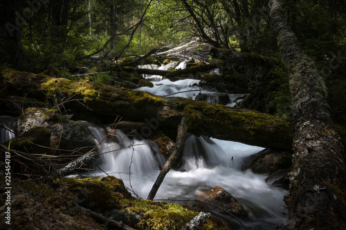 Fototapeta Naklejka Na Ścianę i Meble -  waterfall in forest