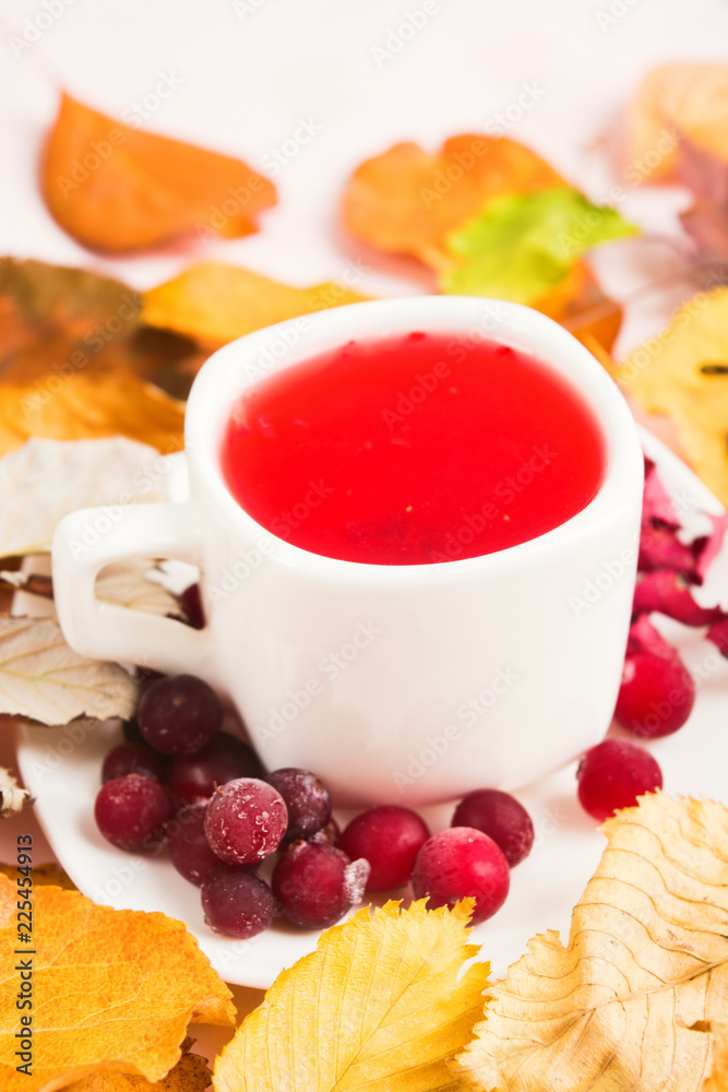 Hot red drink with colorful dry leaves around cup with cranberry Hot red drink with colorful dry leaves around cup with cranberry
