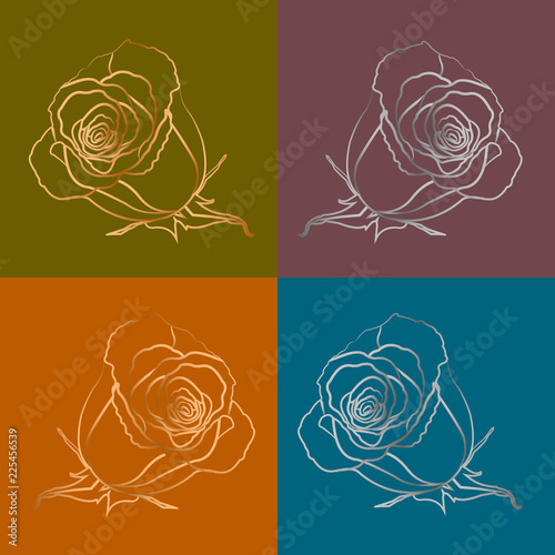 Diffrent variant of rose.Vector illustration.