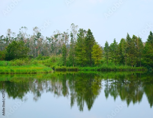 Beautiful nature lake landscape view with reflection of fresh green tree in Hong Kong