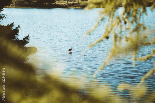 Photography The Bogstadvannet lake in Oslo