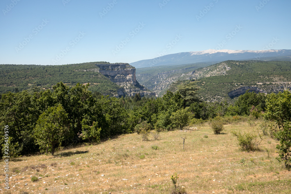 Landscape in the department of Vaucluse in Provence and the Mont Ventoux in the background. France