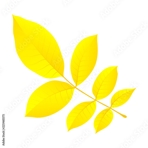 Yellow autumn leaf icon. Flat illustration of yellow autumn leaf vector icon for web design