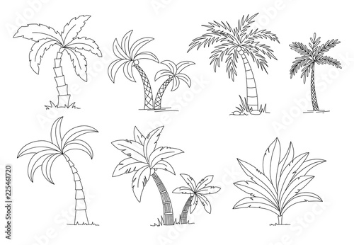 Palm trees coloring book. Beautiful vectro palma tree set vector illustration