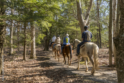 Skyline drive, Virginia, USA - April 12, 2018: Horse riding group on a trail in the woods