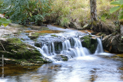 Ilse im Harz  Sachsen - Anhalt