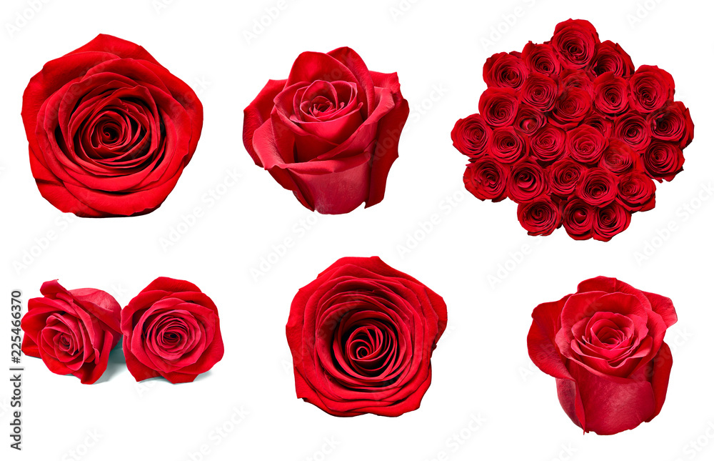 Naklejka premium flower rose petal blosspm background