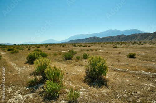 Naryn river valley