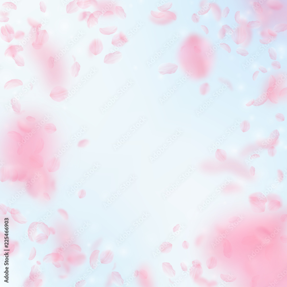 Sakura petals falling down. Romantic pink flowers