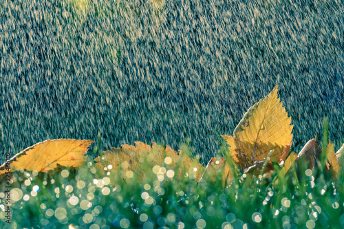 Goldener Herbst mit bunten Blättern und Regenschauer Sonnenlicht