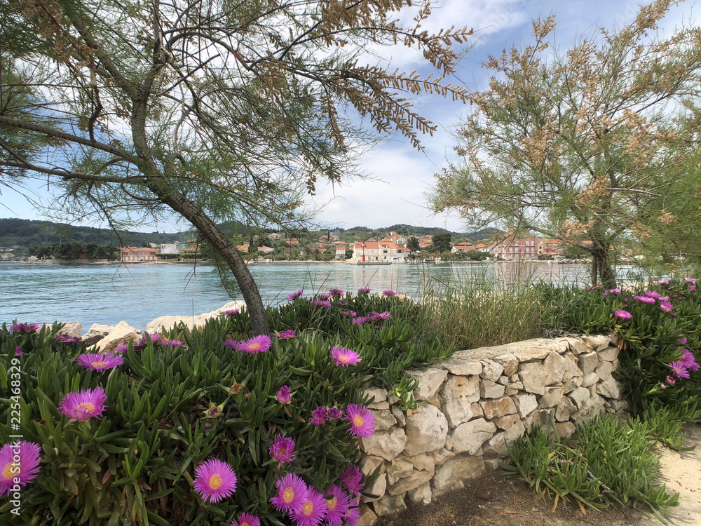 Naklejka premium Trees and flowers along the coast of Poljana