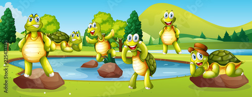 Turtles in pond scene