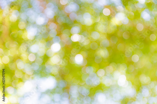 Abstract background blurred green nature bokeh.