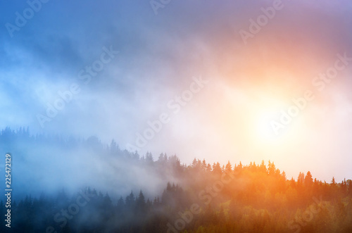 sunrise and mist over the pine forest in the mountains.