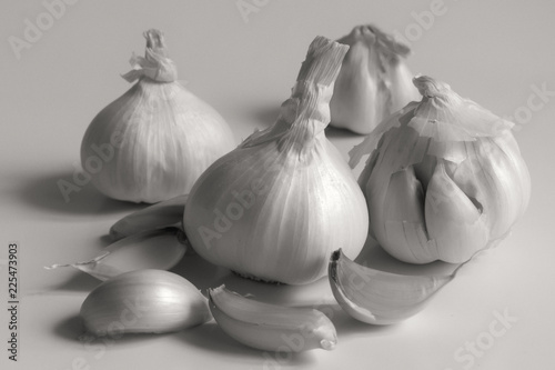 Sepia Garlic on white background