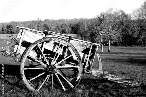 Antique wooden cart used to transport persons and grain. Wheat, corn, barley, grass... Black and white picture.