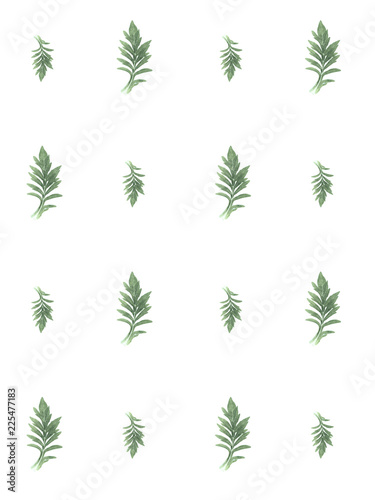 Pressed and dried herbs pattern on a white