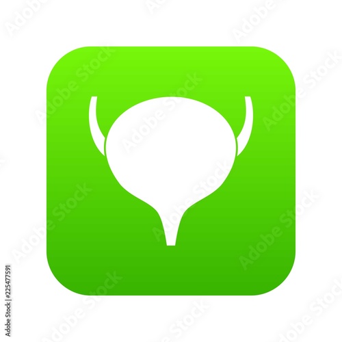 Bladder icon digital green for any design isolated on white vector illustration