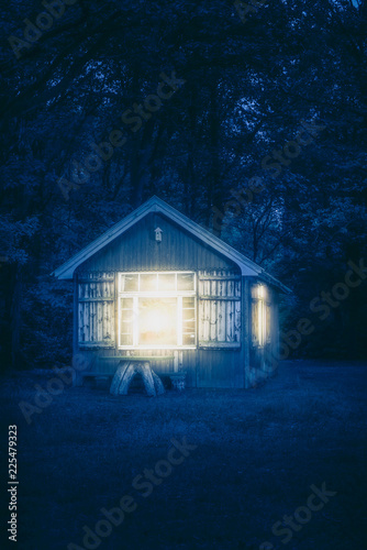 Cabin in forest at night.