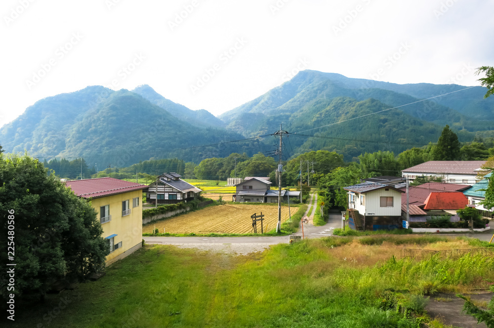 Fototapeta premium suburban