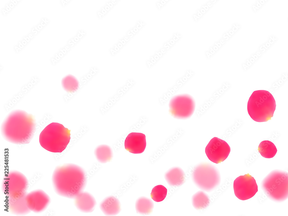 Pink rose petals falling vector valentine background.