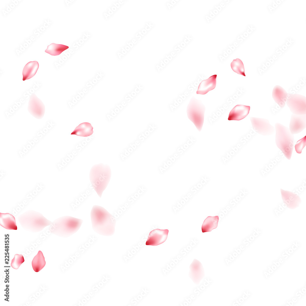 Pink sakura flower flying petals isolated on white vector background.