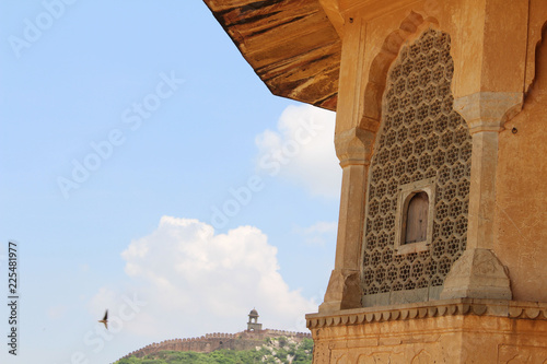 The details of intricate carvings around the Amer (or Amber Fort) photo