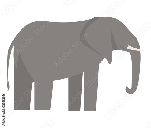 Elephant icon. Flat illustration of elephant vector icon for web design