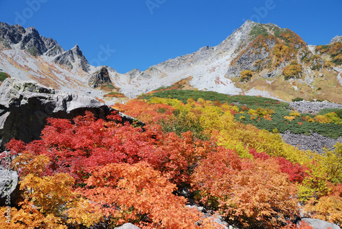 autumn leaves @Karasawa curl - Kamikochi. Shinshu / 上高地 涸沢カールの紅葉（zoom, ヨコ撮）
