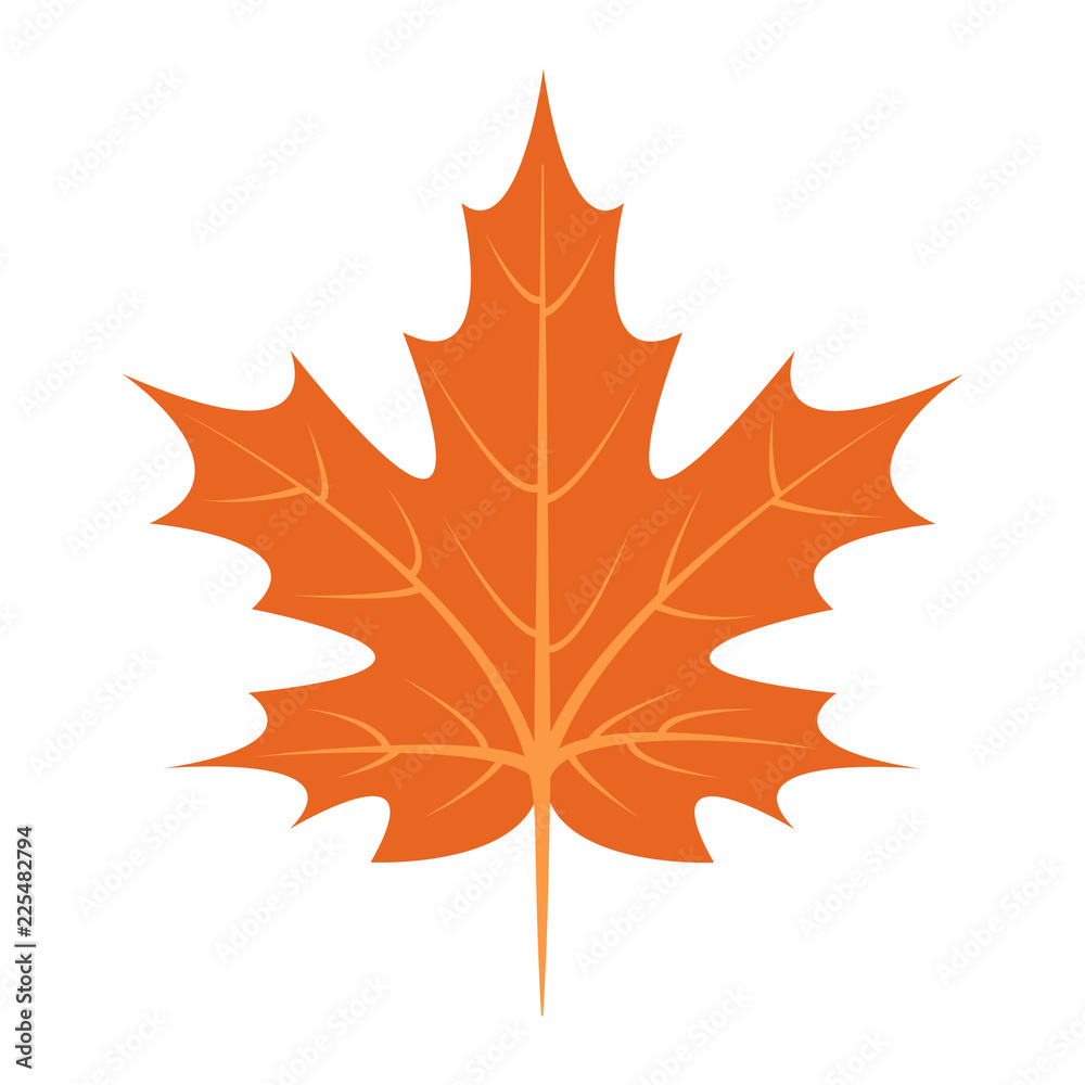 Maple leaf icon. Flat illustration of maple leaf vector icon for web design Maple leaf icon. Flat illustration of maple leaf vector icon for web design