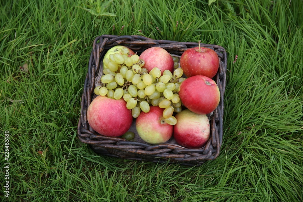 red apples in a basket red apples in a basket