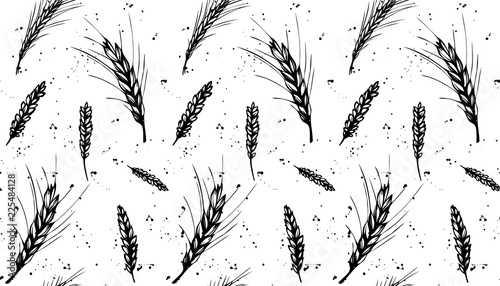 Wheat, rye, barley seamless pattern with drops. Black and white hand drawn design for organic, bakery, cereals