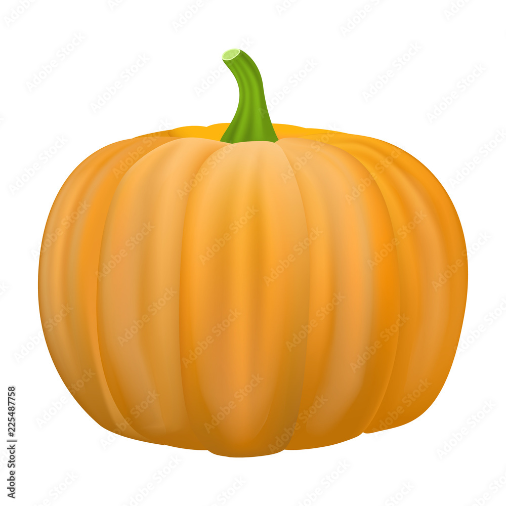 Pumpkin icon. Realistic illustration of pumpkin vector icon for web design isolated on white background Pumpkin icon. Realistic illustration of pumpkin vector icon for web design isolated on white background