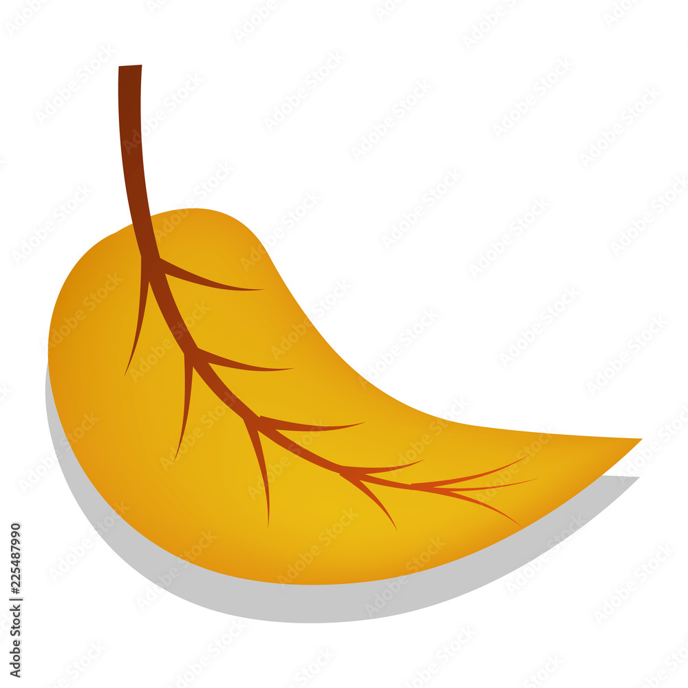 Birch yellow leaf icon. Realistic illustration of birch yellow leaf vector icon for web design isolated on white background