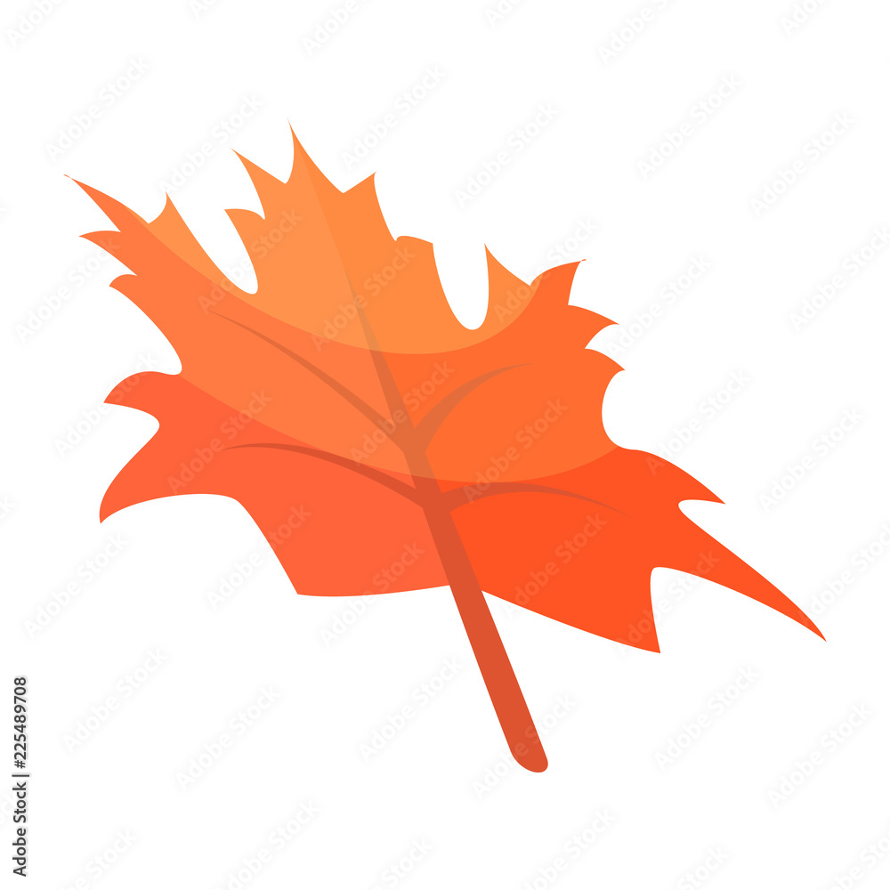Naklejka premium Autumn maple leaf icon. Isometric of autumn maple leaf vector icon for web design isolated on white background