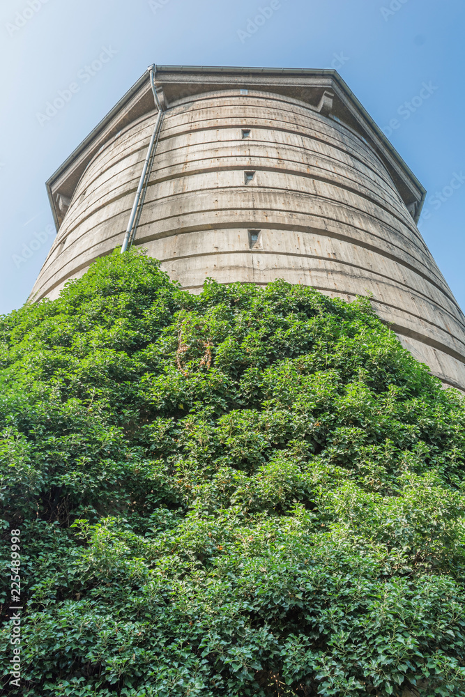 Alter Turm mit Fassadenbegrünung aus der Froschperspektive Alter Turm mit Fassadenbegrünung aus der Froschperspektive