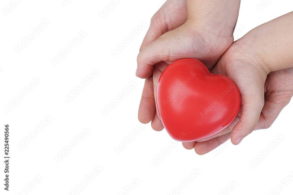 Adult and Child Hand holding Red Heart,Concept of Love and Health care,family insurance.World heart day, World health day.Valentine's day.isolated shape of heart on white background.