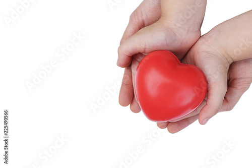 Fototapeta Naklejka Na Ścianę i Meble -  Adult and Child Hand holding Red Heart,Concept of Love and Health care,family insurance.World heart day, World health day.Valentine's day.isolated shape of heart on white background.