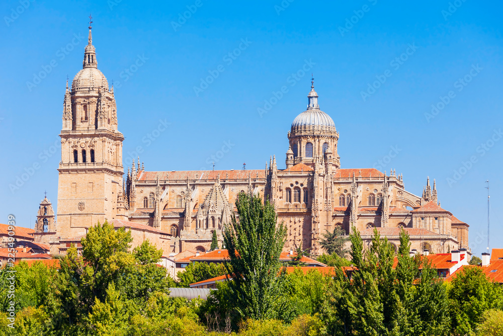 Fototapeta premium Salamanca Cathedral in Salamanca, Spain