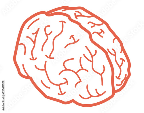 Line brain icon. Isometric of line brain vector icon for web design isolated on white background