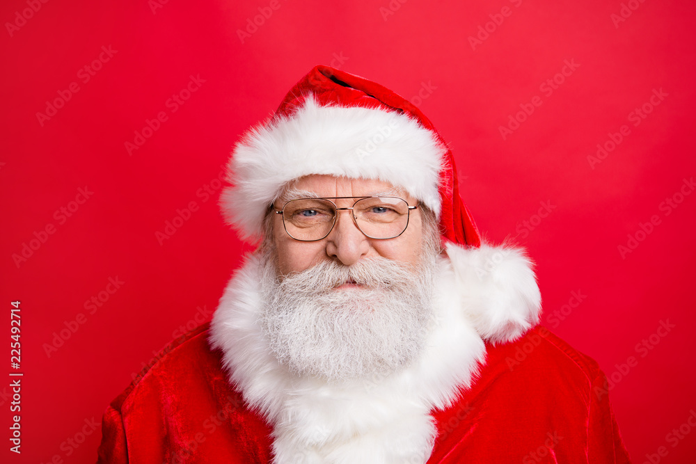Holly jolly is coming! Close up portrait of stylish friendly cal Holly jolly is coming! Close up portrait of stylish friendly cal