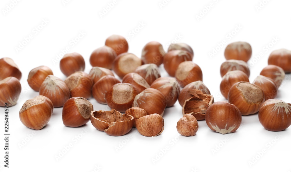Hazelnuts isolated on white background Hazelnuts isolated on white background